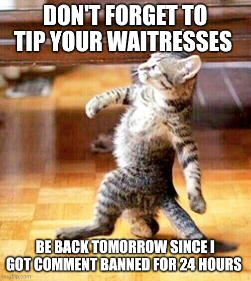 Cat Walking Away | DON'T FORGET TO TIP YOUR WAITRESSES; BE BACK TOMORROW SINCE I GOT COMMENT BANNED FOR 24 HOURS | image tagged in cat walking away | made w/ Imgflip meme maker