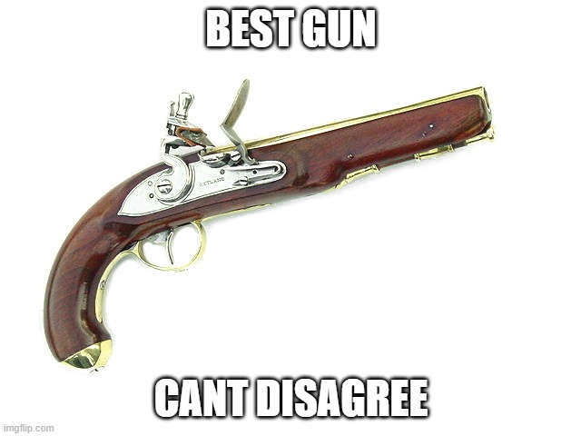 flintlock | BEST GUN; CANT DISAGREE | image tagged in flintlock | made w/ Imgflip meme maker