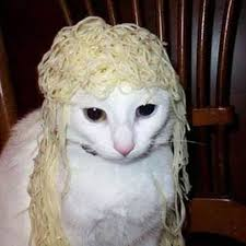 High Quality Droped the noodles Blank Meme Template