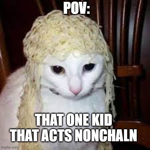 Not Cool LIL BRO | POV:; THAT ONE KID THAT ACTS NONCHALN | image tagged in droped the noodles | made w/ Imgflip meme maker
