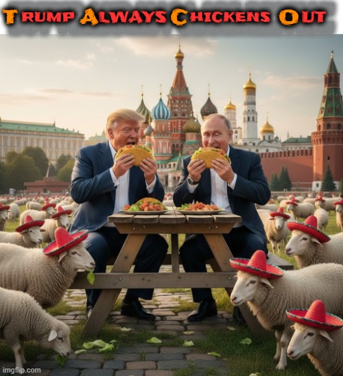 Trump Always Chickens Out | TRUMP AND MAGA ARE RUSSIAN BOT TERRORIST ORGANIZATION RUMP                   HICKENS LWAYS                   UT T       A        C           | image tagged in taco,trump always chickens out,trump,maga,immigration,ice | made w/ Imgflip meme maker