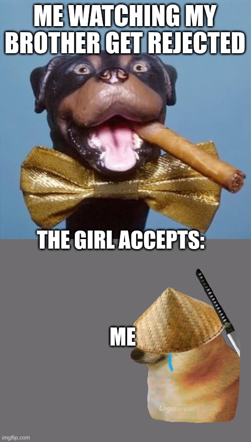 Bro the sudden change is wild | ME WATCHING MY BROTHER GET REJECTED; THE GIRL ACCEPTS: 
 
 
 
ME | image tagged in triumph the insult comic dog | made w/ Imgflip meme maker