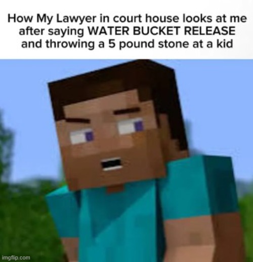 Steve told me to do it! | image tagged in minecraft,minecraft steve,element animation,facebook | made w/ Imgflip meme maker