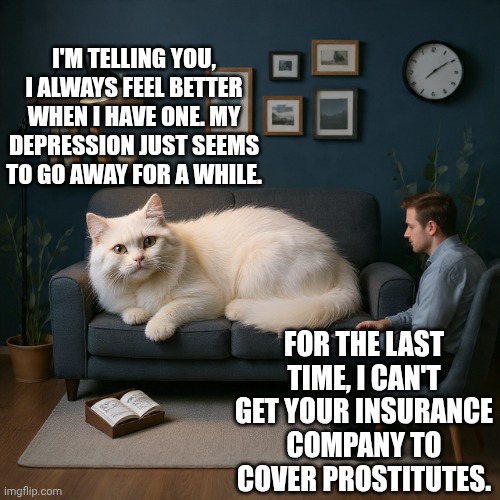 I'M TELLING YOU, I ALWAYS FEEL BETTER WHEN I HAVE ONE. MY DEPRESSION JUST SEEMS TO GO AWAY FOR A WHILE. FOR THE LAST TIME, I CAN'T GET YOUR INSURANCE COMPANY TO COVER PROSTITUTES. | image tagged in smudge the cat | made w/ Imgflip meme maker