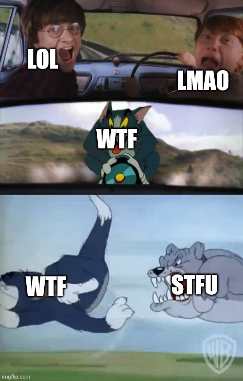 Lol so funny | LMAO; LOL; WTF; STFU; WTF | image tagged in harry potter and ron being chased by tom with an extra panel,lol,lmao,wtf,stfu,tom and jerry | made w/ Imgflip meme maker