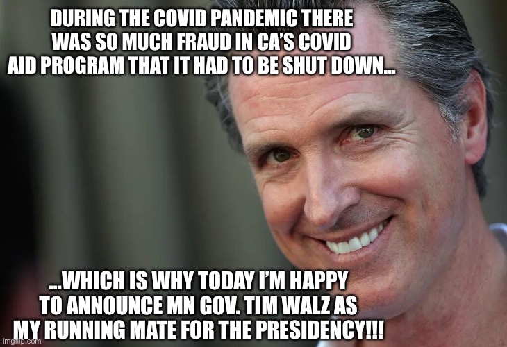 Gavin Newsom | DURING THE COVID PANDEMIC THERE WAS SO MUCH FRAUD IN CA’S COVID AID PROGRAM THAT IT HAD TO BE SHUT DOWN…; …WHICH IS WHY TODAY I’M HAPPY TO ANNOUNCE MN GOV. TIM WALZ AS MY RUNNING MATE FOR THE PRESIDENCY!!! | image tagged in gavin newsom | made w/ Imgflip meme maker