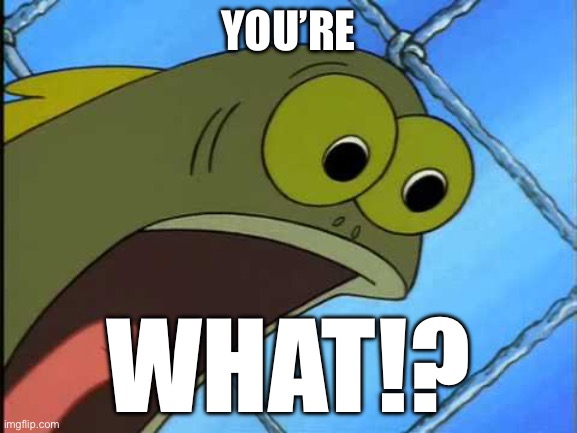 You what?! | YOU’RE WHAT!? | image tagged in you what | made w/ Imgflip meme maker