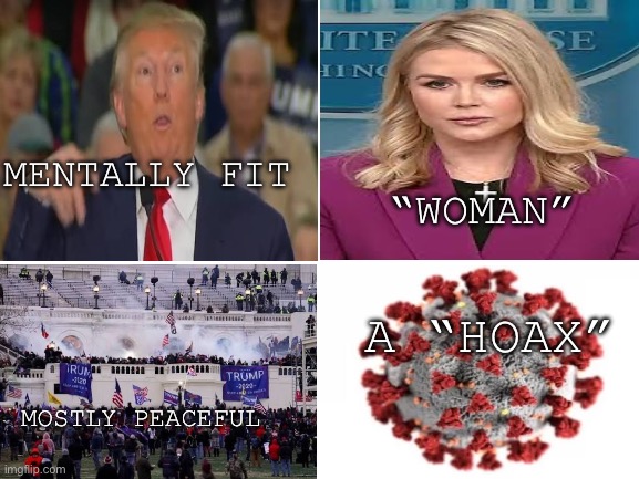 Enjoy | MENTALLY FIT; “WOMAN”; A “HOAX”; MOSTLY PEACEFUL | image tagged in fuck you | made w/ Imgflip meme maker