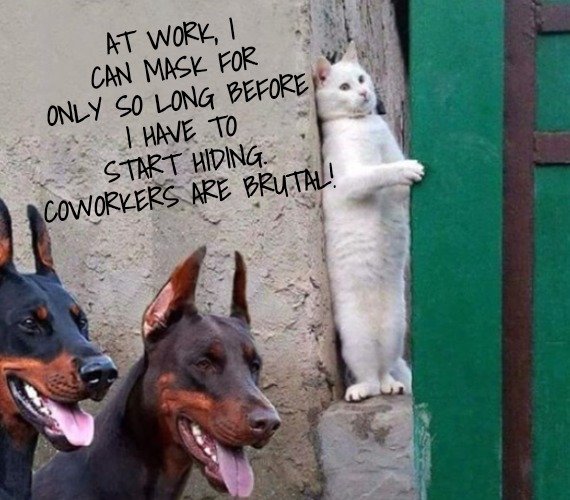 AT WORK, I CAN MASK FOR ONLY SO LONG BEFORE I HAVE TO START HIDING. COWORKERS ARE BRUTAL! | made w/ Imgflip meme maker