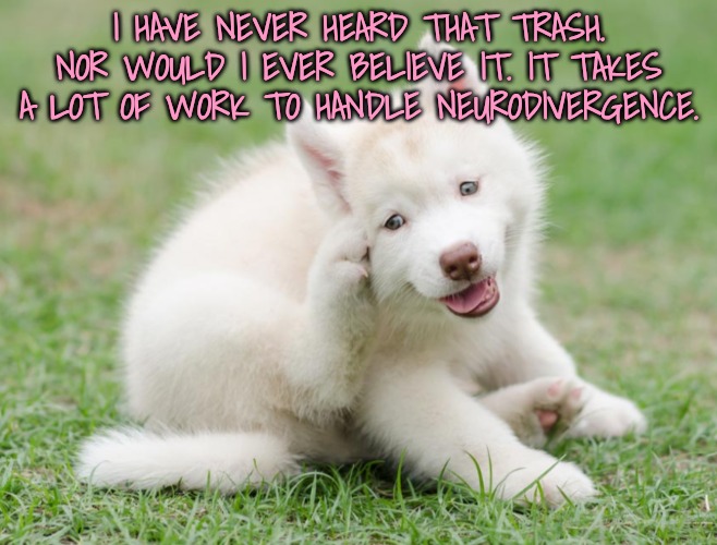 Think think think | I HAVE NEVER HEARD THAT TRASH. NOR WOULD I EVER BELIEVE IT. IT TAKES A LOT OF WORK TO HANDLE NEURODIVERGENCE. | image tagged in think think think | made w/ Imgflip meme maker