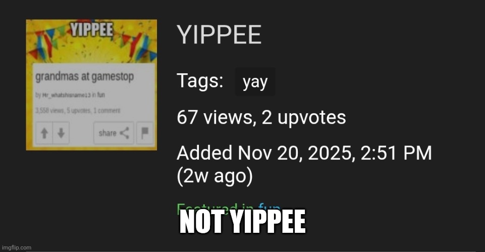 Why | NOT YIPPEE | image tagged in memes | made w/ Imgflip meme maker