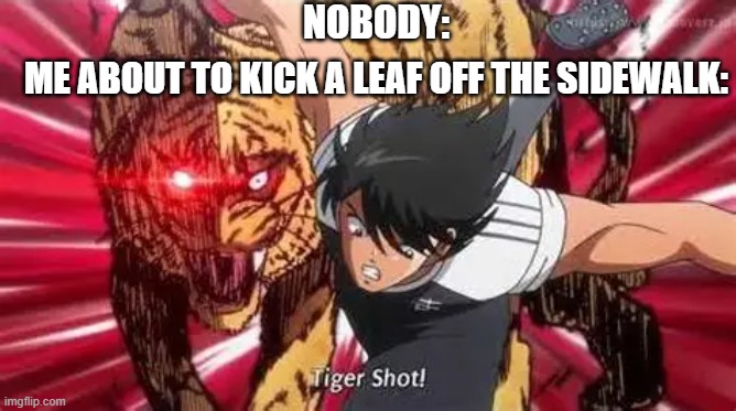 Sidewalk Meme | NOBODY:; ME ABOUT TO KICK A LEAF OFF THE SIDEWALK: | image tagged in fun,memes,anime,anime memes,anime meme | made w/ Imgflip meme maker