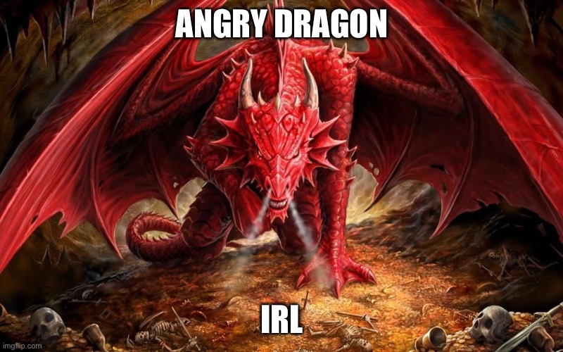 Angry dragon | ANGRY DRAGON; IRL | image tagged in angry dragon | made w/ Imgflip meme maker