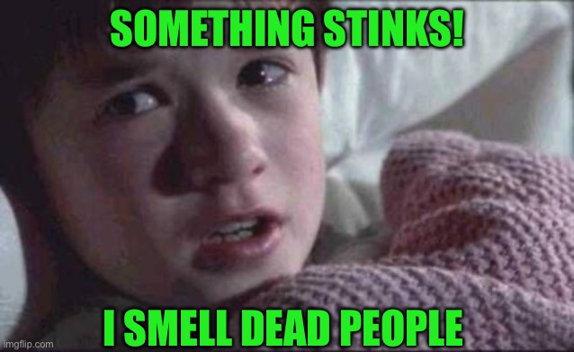 I See Dead People Meme | SOMETHING STINKS! I SMELL DEAD PEOPLE | image tagged in memes,i see dead people | made w/ Imgflip meme maker