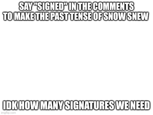 SAY "SIGNED" IN THE COMMENTS TO MAKE THE PAST TENSE OF SNOW SNEW; IDK HOW MANY SIGNATURES WE NEED | image tagged in snew | made w/ Imgflip meme maker