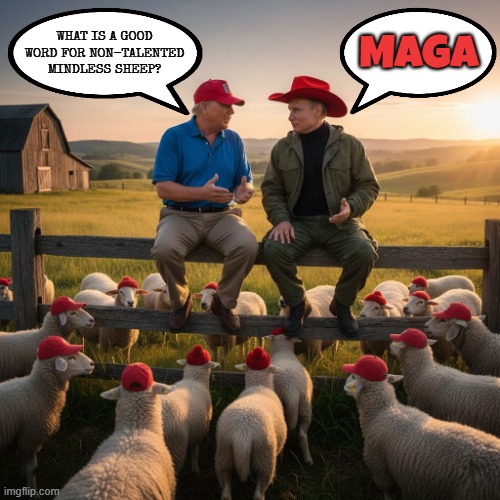 WHAT IS A GOOD WORD? | WHAT IS A GOOD WORD FOR NON-TALENTED MINDLESS SHEEP? MAGA | image tagged in trump,putin,maga,sheep,unoriginal,played out | made w/ Imgflip meme maker