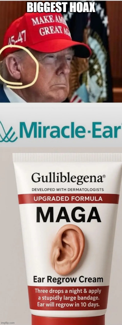 fake news | BIGGEST HOAX | made w/ Imgflip meme maker