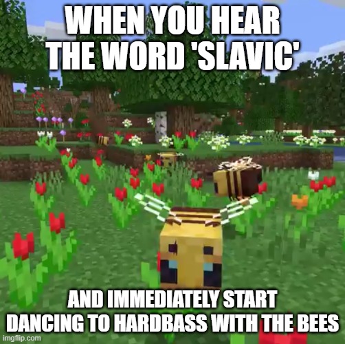 Minecraft bees | WHEN YOU HEAR THE WORD 'SLAVIC'; AND IMMEDIATELY START DANCING TO HARDBASS WITH THE BEES | image tagged in minecraft bees,slavic lives matter,black lives matter | made w/ Imgflip meme maker