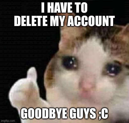 It was nice knowing you all ;) | I HAVE TO DELETE MY ACCOUNT; GOODBYE GUYS ;C | image tagged in sad thumbs up cat | made w/ Imgflip meme maker