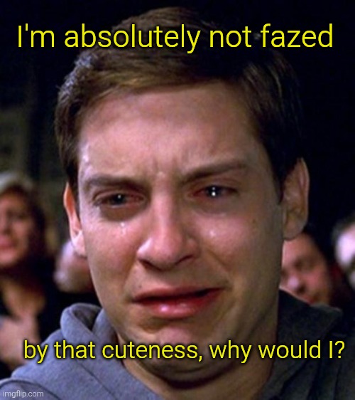 crying peter parker | by that cuteness, why would I? I'm absolutely not fazed | image tagged in crying peter parker | made w/ Imgflip meme maker