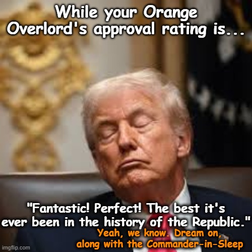 While your Orange Overlord's approval rating is... "Fantastic! Perfect! The best it's ever been in the history of the Republic." Yeah, we kn | made w/ Imgflip meme maker