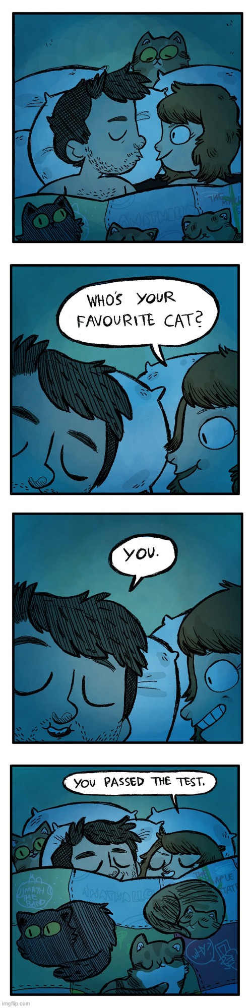 image tagged in cat,cats,favorite,you,test,passed | made w/ Imgflip meme maker