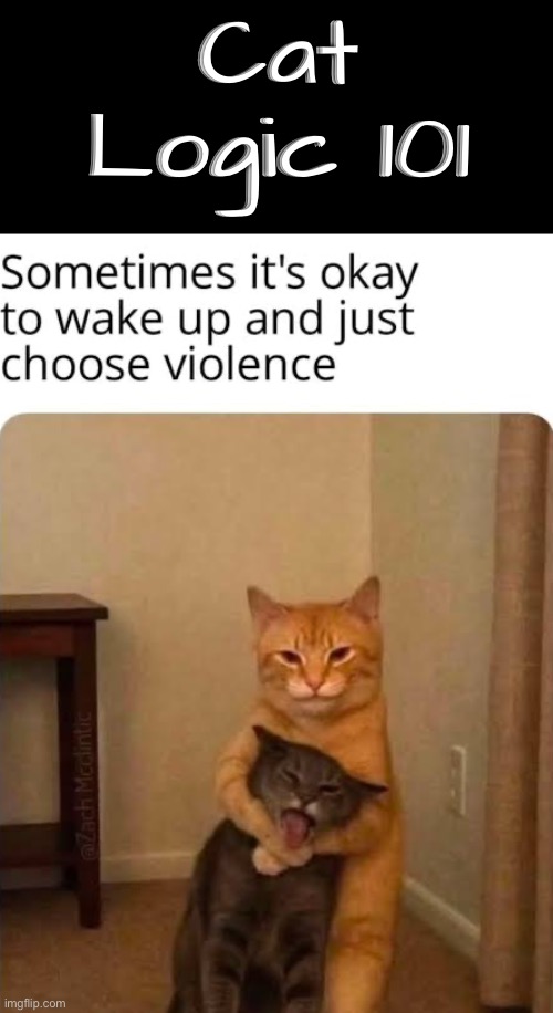 More Cat Logic Lessons | Cat Logic 101 | image tagged in logic,cats,funny cat memes,life lessons,violence,psychopath | made w/ Imgflip meme maker