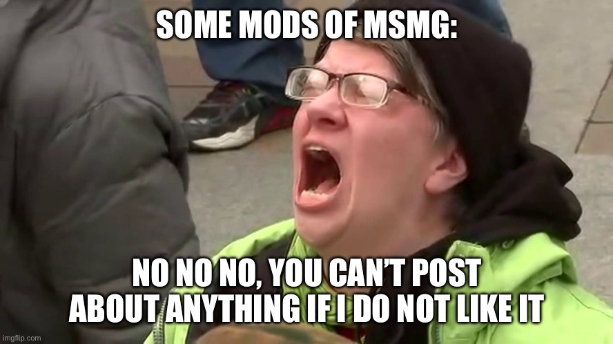 Screaming Libtard  | SOME MODS OF MSMG:; NO NO NO, YOU CAN’T POST ABOUT ANYTHING IF I DO NOT LIKE IT | image tagged in screaming libtard | made w/ Imgflip meme maker