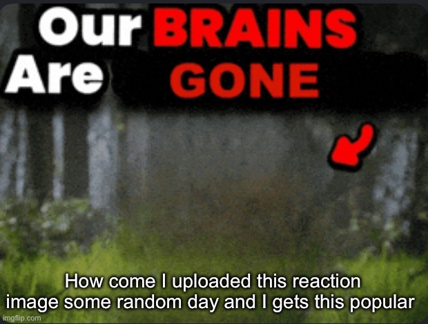 Our brains are GONE | How come I uploaded this reaction image some random day and I gets this popular | image tagged in our brains are gone | made w/ Imgflip meme maker