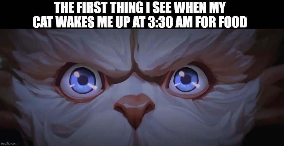 Day 375 of Arcane memes until the next season/series comes out. | THE FIRST THING I SEE WHEN MY CAT WAKES ME UP AT 3:30 AM FOR FOOD | image tagged in arcane | made w/ Imgflip meme maker