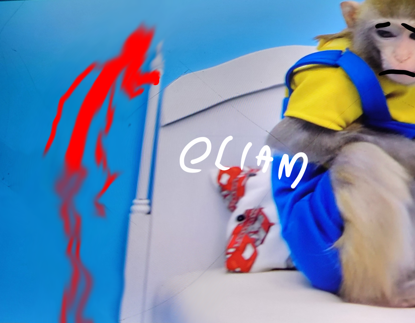 Red long Blank Meme Template