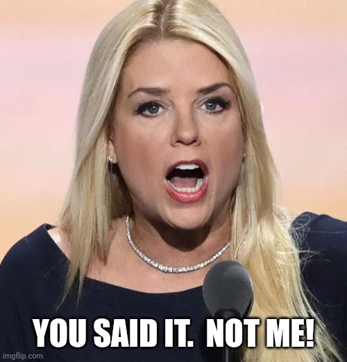 Pam Bondi mouth wide open Trump sucks | YOU SAID IT.  NOT ME! | image tagged in pam bondi mouth wide open trump sucks | made w/ Imgflip meme maker