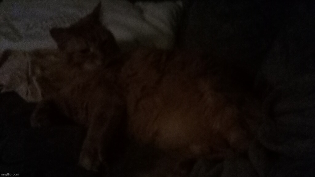 Flooofy | made w/ Imgflip meme maker