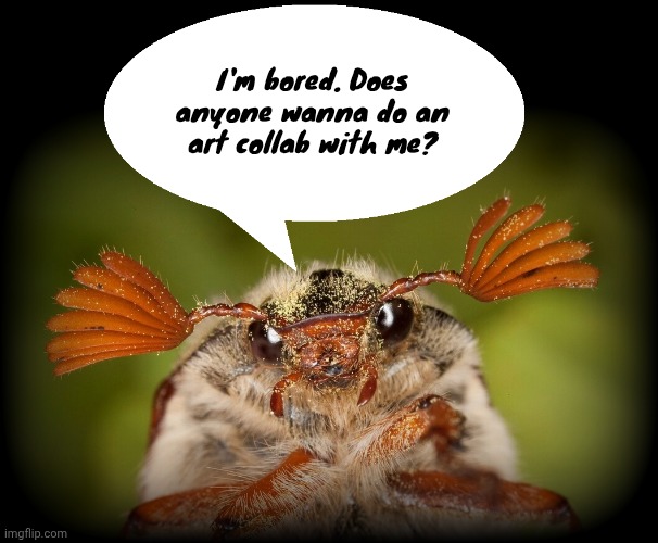 Doodlebug/odd announcement temp | I'm bored. Does anyone wanna do an art collab with me? | image tagged in doodlebug/odd announcement temp | made w/ Imgflip meme maker