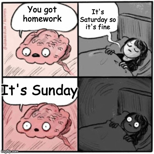Me when I decide to sleep at midnight | It's Saturday so it's fine; You got homework; It's Sunday | image tagged in brain before sleep | made w/ Imgflip meme maker