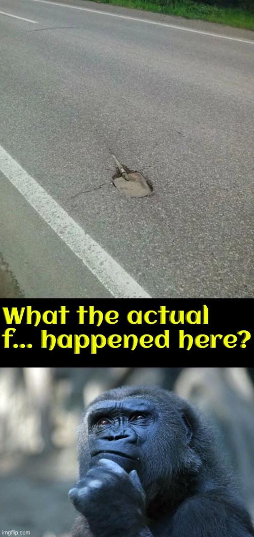 What Happened Here | What the actual f... happened here? | image tagged in what the hell happened here,thinking ape,what the actual f,excuse me what the frick,how did this happen,funny | made w/ Imgflip meme maker