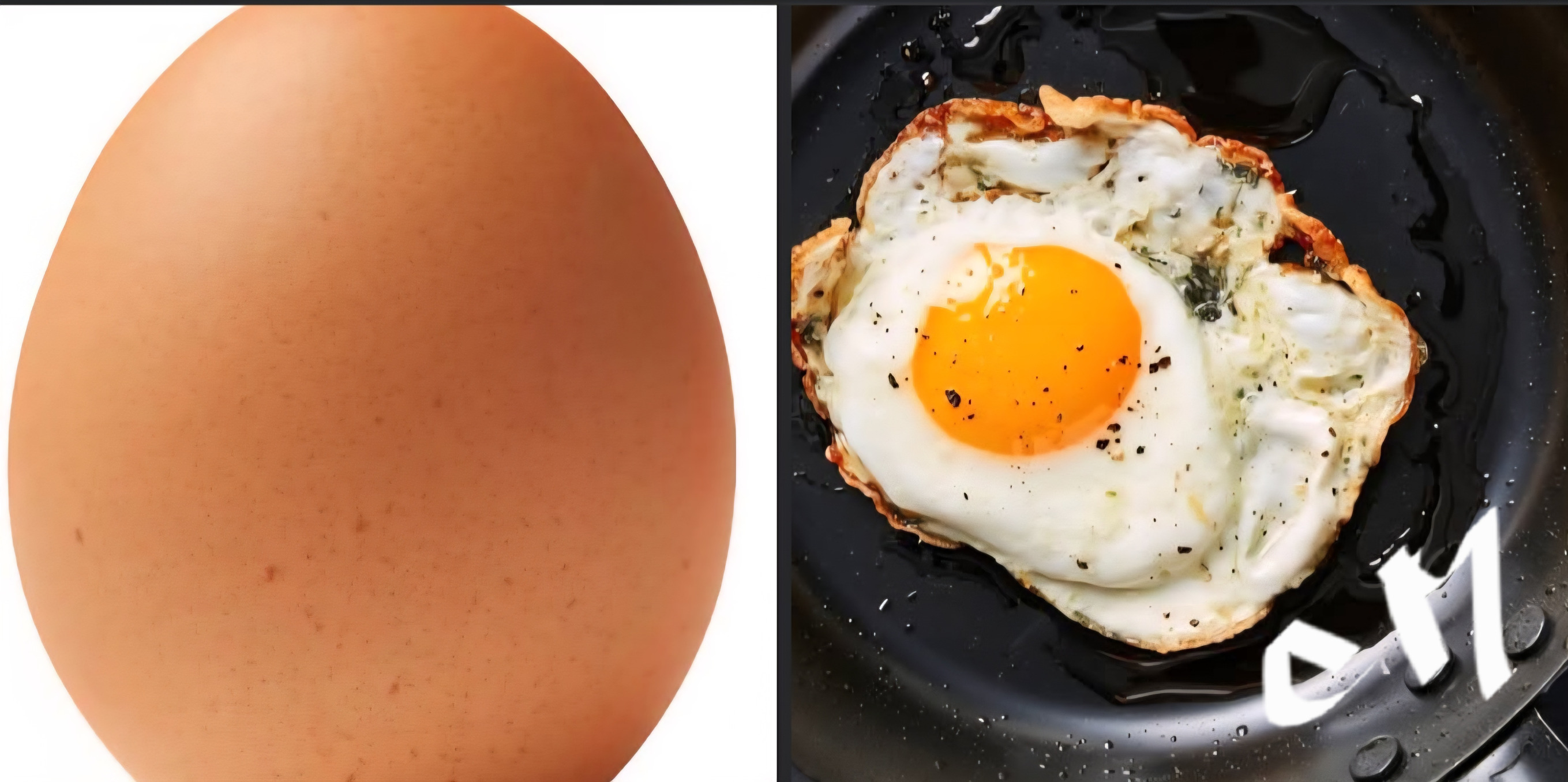 Your brain Blank Meme Template