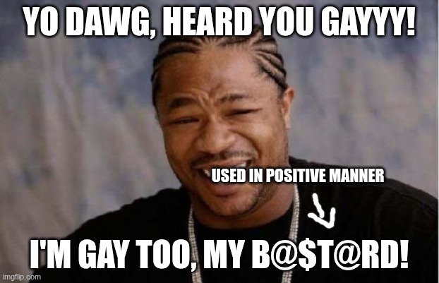 GLM. (gay lives matter) | YO DAWG, HEARD YOU GAYYY! USED IN POSITIVE MANNER; I'M GAY TOO, MY B@$T@RD! | image tagged in memes,yo dawg heard you | made w/ Imgflip meme maker
