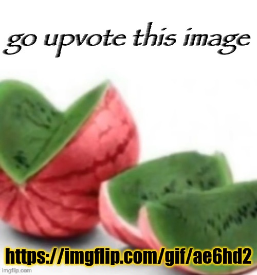 Go upvote this image | https://imgflip.com/gif/ae6hd2 | image tagged in go upvote this image | made w/ Imgflip meme maker