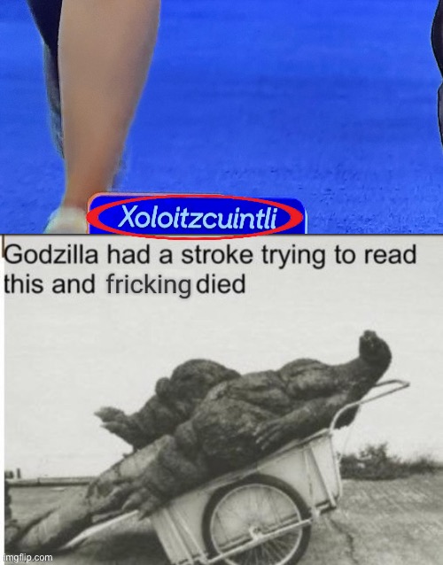Wtf is this name for a dog breed? (Saw this while watching the Dog Show for Thanksgiving) | image tagged in godzilla had a stroke trying to read this and fricking died,dog,error 404,wtf,godzilla | made w/ Imgflip meme maker