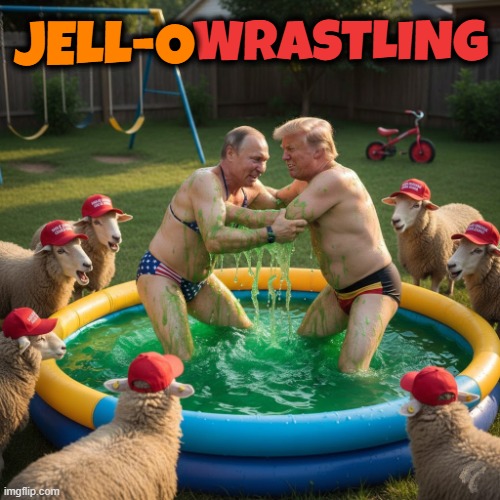 JELL-O Wrastling | WRASTLING DONALD TRUMP AND VLADMIR PUTIN ARE CLOSET HOMOSEXUALS WHO LOVE TO PLAY WITH EACH OTHER AND SHEEP WATCH LIKE PERVERTS JELL-O | image tagged in jello,wrestling,wrastling,trump,putin,maga | made w/ Imgflip meme maker