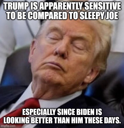 Sensitive Snowflake (melting) | TRUMP IS APPARENTLY SENSITIVE TO BE COMPARED TO SLEEPY JOE; ESPECIALLY SINCE BIDEN IS LOOKING BETTER THAN HIM THESE DAYS. | image tagged in trump sleeping,elderly,retirement,impeachment,death knocking at the door | made w/ Imgflip meme maker