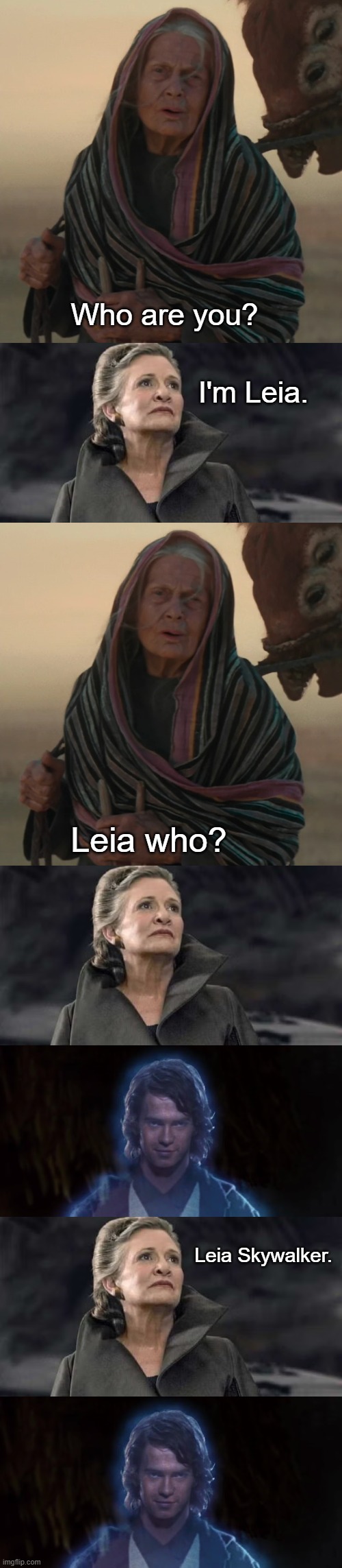 Unlike Rey, Leia has a legitimate claim on the name. | Who are you? I'm Leia. Leia who? Leia Skywalker. | image tagged in star wars,leia,skywalker | made w/ Imgflip meme maker