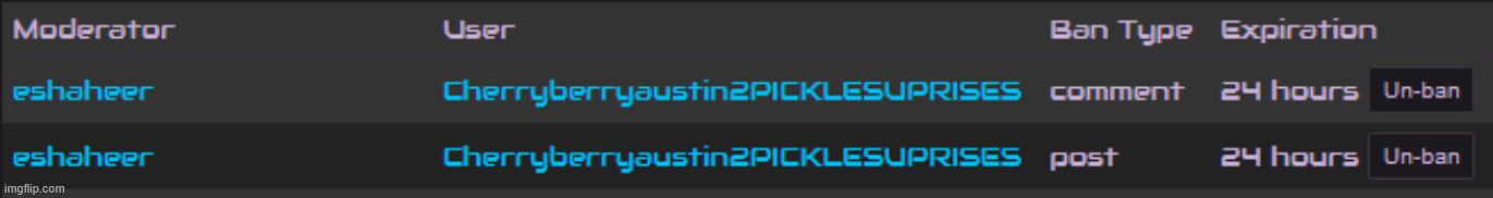 banned user for harassing other users and inappropriate flag spamming | made w/ Imgflip meme maker