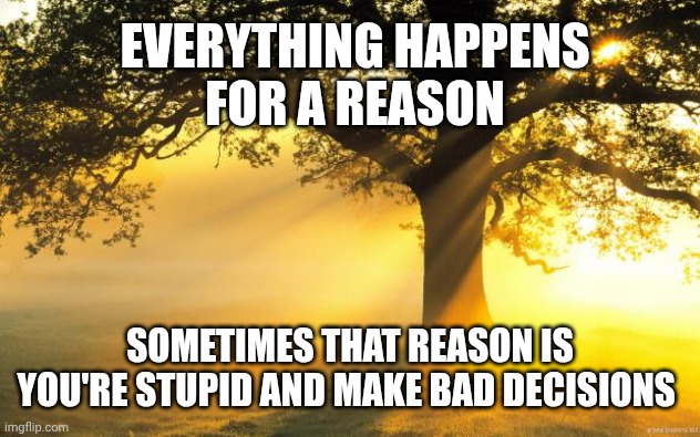 Motivational poster style sass | EVERYTHING HAPPENS 
FOR A REASON; SOMETIMES THAT REASON IS YOU'RE STUPID AND MAKE BAD DECISIONS | image tagged in nature | made w/ Imgflip meme maker