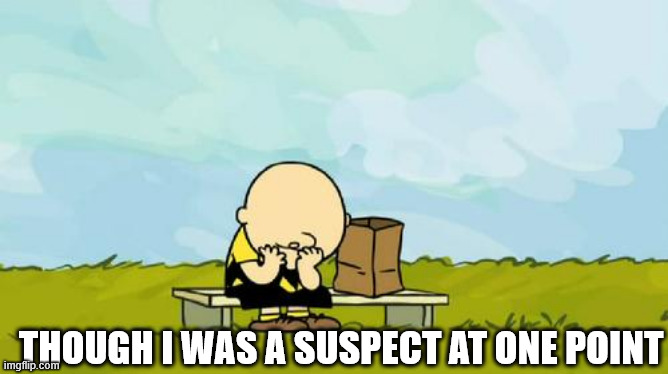 Depressed Charlie Brown | THOUGH I WAS A SUSPECT AT ONE POINT | image tagged in depressed charlie brown | made w/ Imgflip meme maker