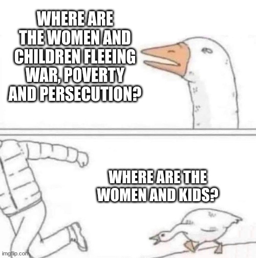 immigrant | WHERE ARE THE WOMEN AND CHILDREN FLEEING WAR, POVERTY AND PERSECUTION? WHERE ARE THE WOMEN AND KIDS? | image tagged in goose chase | made w/ Imgflip meme maker
