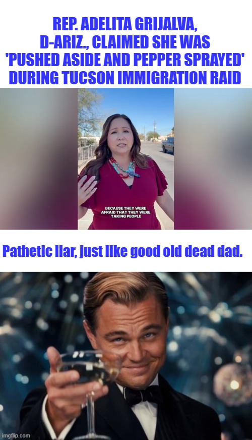 REP. ADELITA GRIJALVA, D-ARIZ., CLAIMED SHE WAS 'PUSHED ASIDE AND PEPPER SPRAYED' DURING TUCSON IMMIGRATION RAID; Pathetic liar, just like good old dead dad. | image tagged in memes,leonardo dicaprio cheers | made w/ Imgflip meme maker