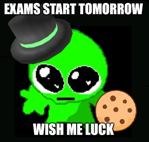 spolie | EXAMS START TOMORROW; WISH ME LUCK | image tagged in spolie | made w/ Imgflip meme maker