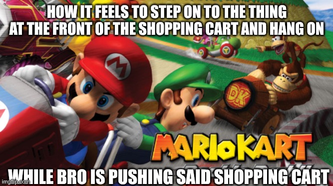 relatable? | HOW IT FEELS TO STEP ON TO THE THING AT THE FRONT OF THE SHOPPING CART AND HANG ON; WHILE BRO IS PUSHING SAID SHOPPING CART | image tagged in mario kart double dash | made w/ Imgflip meme maker